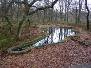 Korhoenplas