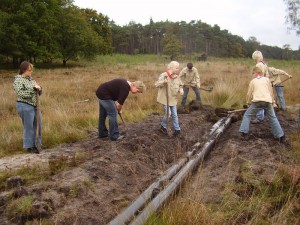 Op 2 oktober 2010 werd met hulp van scouts uit Zwolle een buis onder de zandweg nabij de Peter Paulplas gelegd