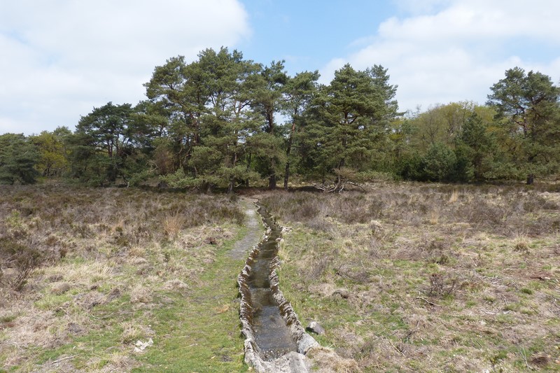 8 Laatste stukje Beek bij Tonnetjesdelle foto 8