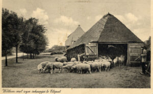 Schaapskooi Elspeet