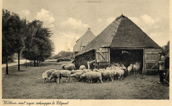 Schaapskooi Elspeet