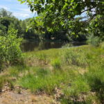 tonnetjesdelle
